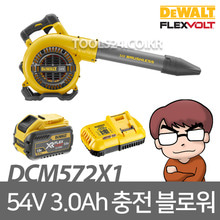 디월트 DCM572X1/54V 충전송풍기세트/배터리/충전기